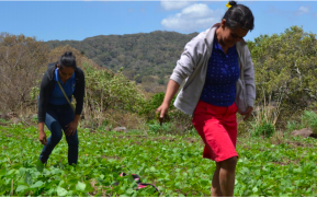 Trabajan propuesta del Plan de Producción, Consumo y Comercio 2018-2019