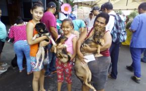 Asesor de Salud Pública Veterinaria del Centro Panamericano de Fiebre visitará Nicaragua