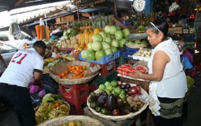 Según MIFIC, 14 productos mantienen sus precios en mercados capitalinos