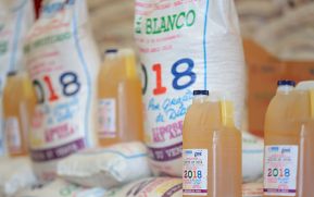 Gobierno Sandinista reanuda distribución de merienda escolar
