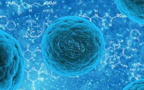 Una nueva epidemia podría acabar con 900 millones de personas