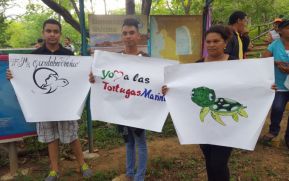 Inicia Campaña de protección de tortugas en Rivas