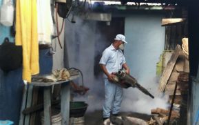 MINSA fumiga viviendas del barrio Primero de Mayo