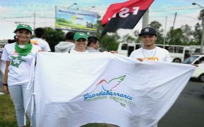 Movimiento Ambientalista listo para recibir a tortugas marinas