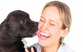 Muchas personas tienen más amor a su mascota que a los miembros del hogar