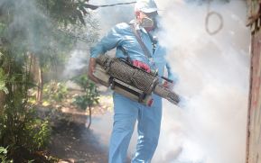 Impulsan jornada de fumigación para prevenir enfermedades en Reparto Carolina