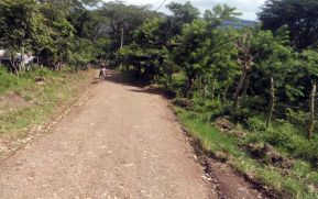 Alcaldías inauguran mejoras en caminos de distintos municipios
