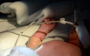 ¡Alerta por virus! 17 bebés están graves y ya 3 murieron en lo que va del año en Costa Rica