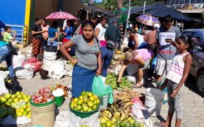 Feria agropecuaria en Bonanza este fin de semana