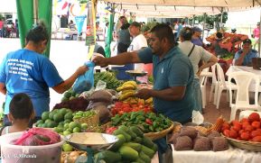 MAG informa sobre proyecciones en la producción de hortalizas para noviembre y diciembre