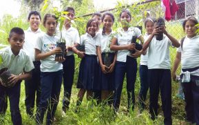 Estudiantes Vivieron una Mañana de Reforestación