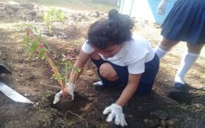 Carlos Presente en la Naturaleza y en la Educación