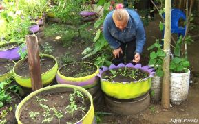 Fátima Bello, la mujer que ha salido adelante con su vivero