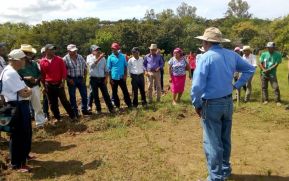 Ministerio Agropecuario capacita a productores en Juigalpa, Chontales