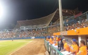 Comenzó la Liga Profesional de Béisbol