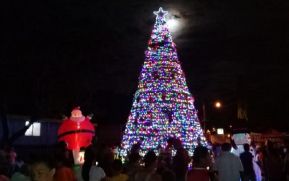 Por una Navidad sin Odio