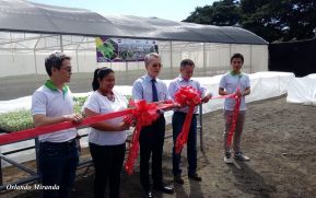 Nicaragua fortalecerá producción de frutas y hortalizas con apoyo de China (Taiwán)