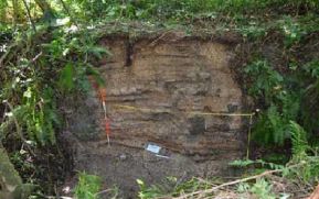 Hallan en Nicaragua el entierro humano más antiguo del mundo