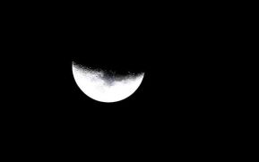 Enero, el mes lunar más largo del 2019