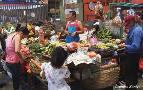 Estabilidad en precios de las carnes y granos básicos