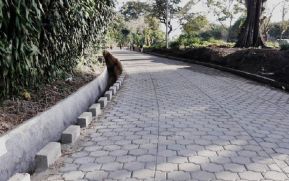 Carazo: Inauguran 350 metros de adoquinado en Dolores