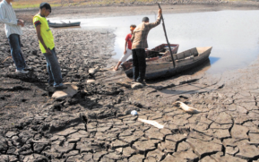 Nicaragua participa en importantes sesiones sobre Cambio Climático en Alemania y en OEA