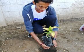 Estudiantes realizan siembra de árboles en el Colegio San Sebastián