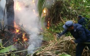 Sofocan incendio forestal en Bluefields