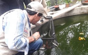 Protagonistas del Mefcca se capacitan sobre el cultivo de peces en estanque