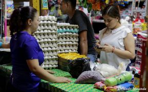 Se mantiene estabilidad en precios de productos de la canasta básica