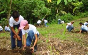 Autoridades de Carazo preparan jornada de reforestación