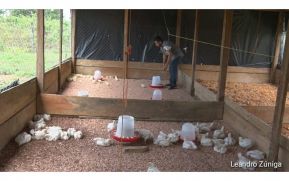 Progreso en Bluefields motiva a los emprendedores locales