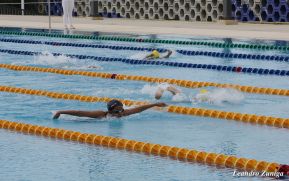 Niños nadadores se miden en el primer campeonato de natación de novatos