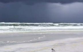 Tormenta Barry se convierte en huracán de categoría 1