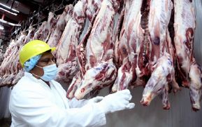 Producción pecuaria de Nicaragua muestra crecimiento en los primeros seis meses del año