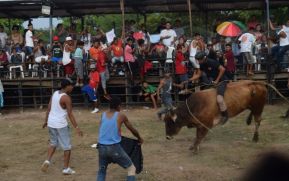 Granada realizará tradicional tope de toros