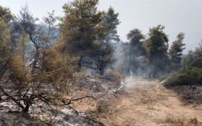 Incendio arrasa con miles de hectáreas de la isla griega de Eubea