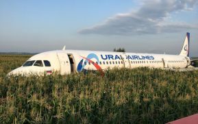 Avión aterriza sobre un maizal ruso tras chocar con pájaros, no se reportan víctimas