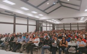 Inicia consulta nacional para la implementación de la Estrategia de Promoción del Protagonismo y Protección de la vida de las Mujeres