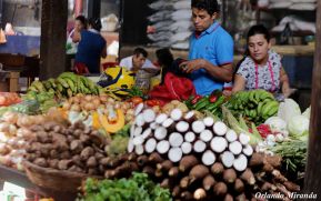 Productos perecederos bajan de precios en el mercado Israel Lewites