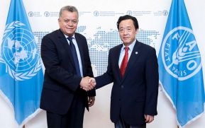 Ministro Edward Centeno sostiene encuentro con el Director de la FAO