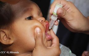 OMS confirma erradicación de la polio tipo 3 en todo el mundo