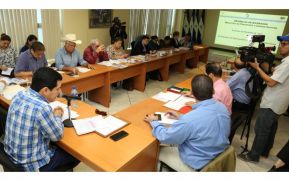 Inicia consulta sobre el Presupuesto General de la República 2020