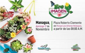 Movimiento Ambientalista Guardabarranco realizará Feria "Eco Imagen"