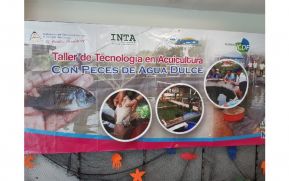 Nicaragua con potencial para desarrollar producción de peces de agua dulce