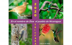 ¡Bienvenido 2020!
