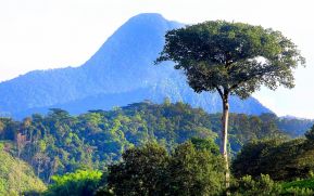 Marena e Inafor promueven la conservación y cuido de los recursos naturales