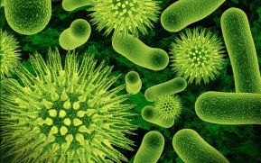 Nicaragua en alerta epidemiológica ante Coronavirus