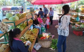Mercadito Campesino, una alternativa de comercio justo y seguro