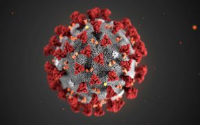 Todo lo que se sabe el coronavirus hasta el momento